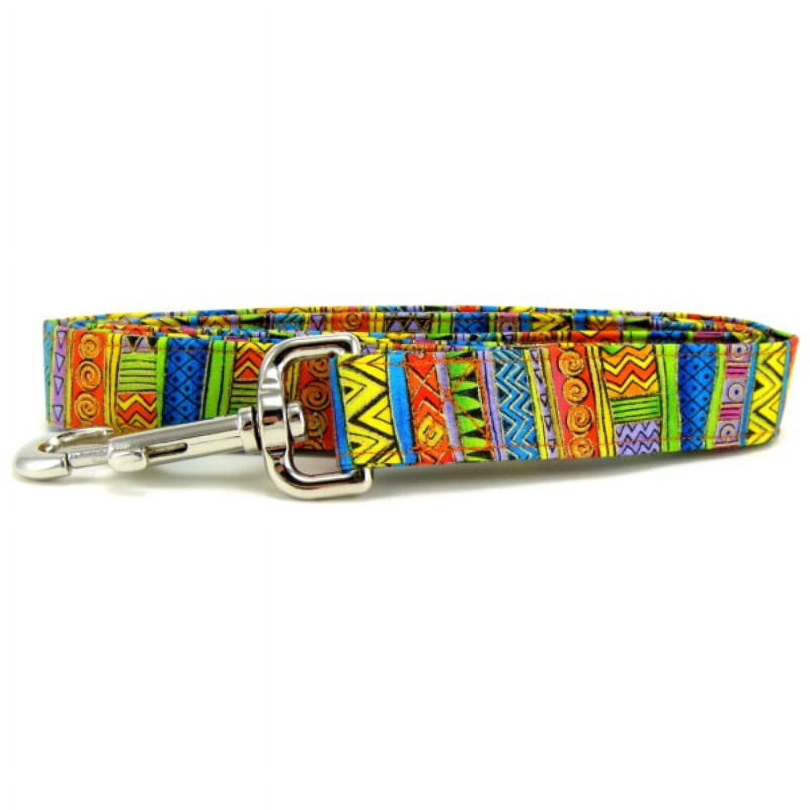 Bright Swirls & Stripes Dog Leash - Size - Large