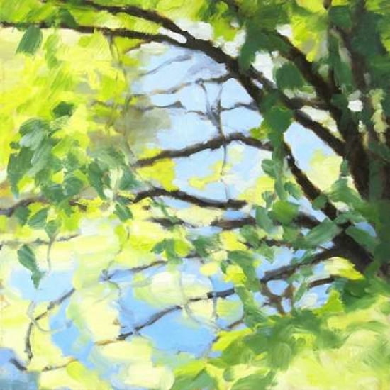 Bright Tree and Blue Canvas Art - Julia Sutliff (24 x 24)