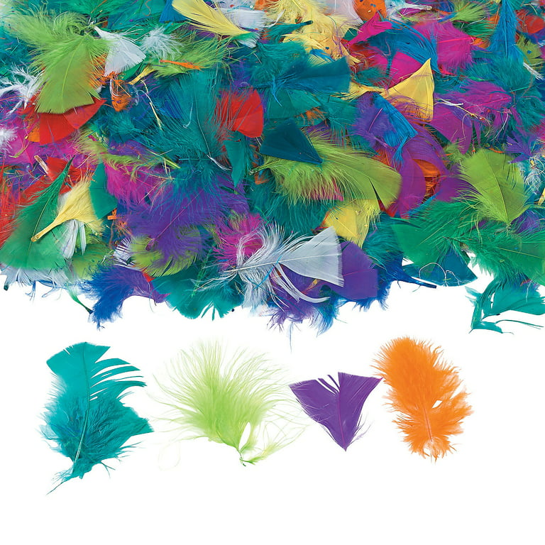 Bright Turkey Feather Assortment, Craft Supplies, Feathers And Shells, Bulk  Craft Accessories, 750 Pieces, Assorted
