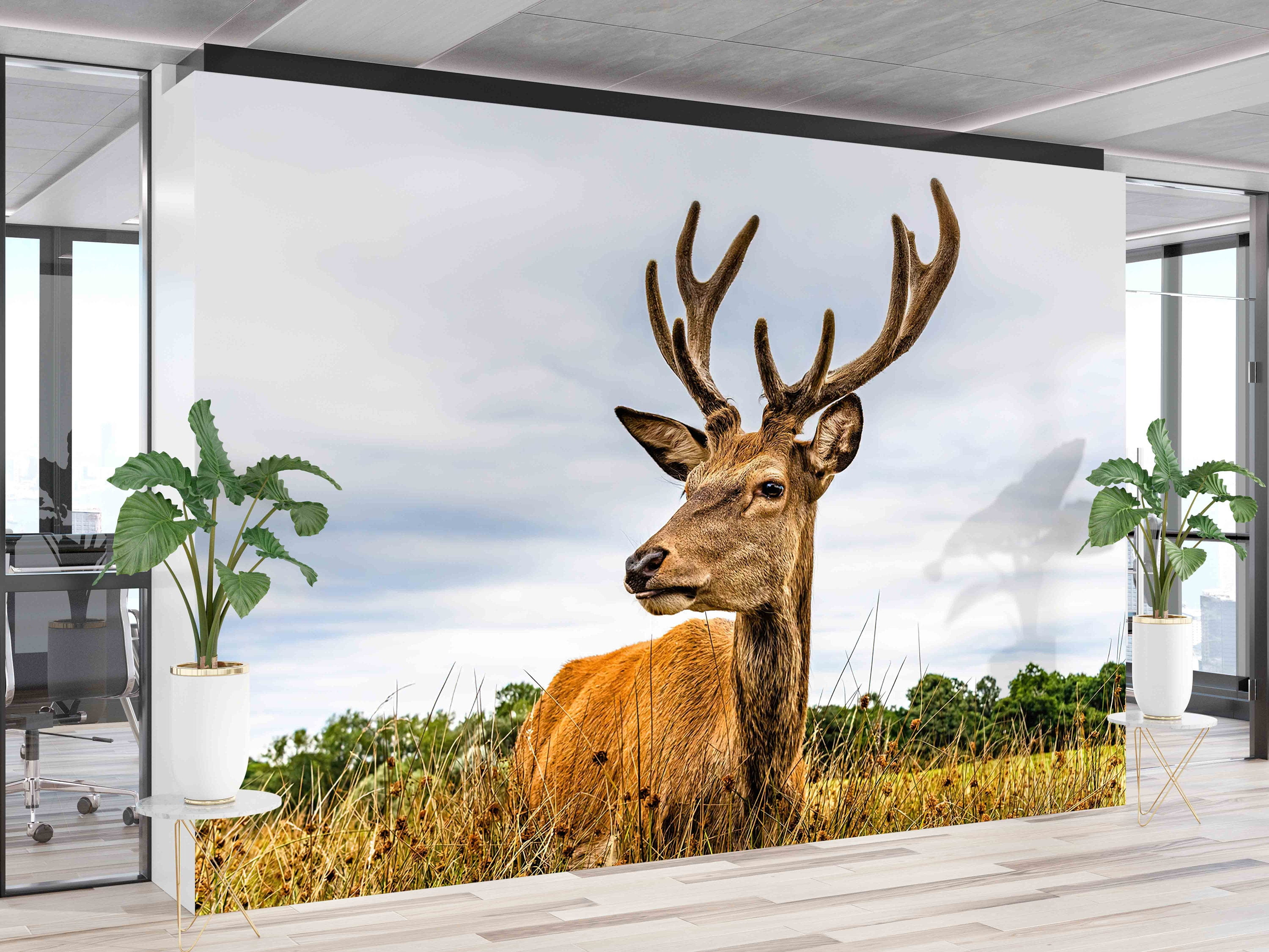Bright Wallpaper, Wildlife Wall Print, Wild Animal Mural, 3d Wallpaper ...