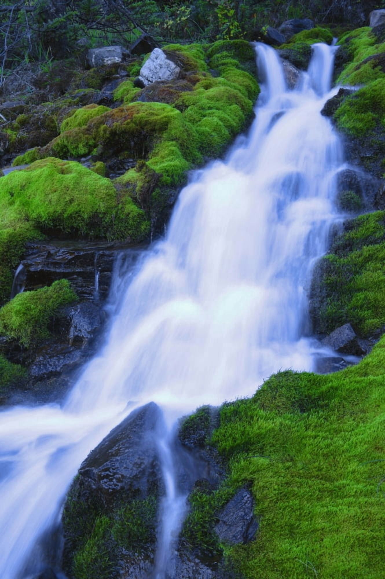 Bright Waterfall Jasper Alberta Canada Canvas Art - Don Hammond Design Pics (12 x 19)