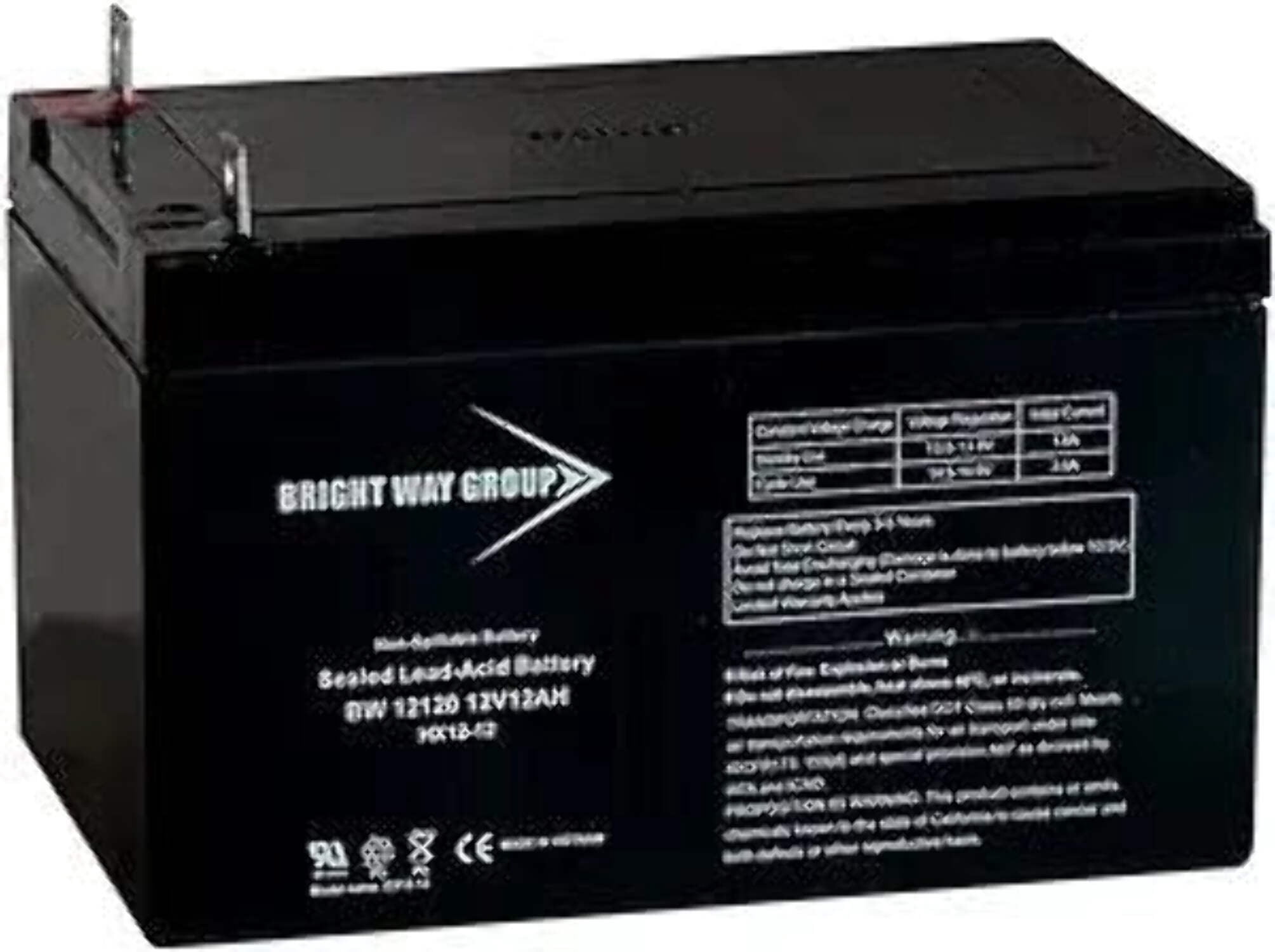 Bright Way BW12120-NB 12V 12Ah Nut and Bolt Terminal AGM Rechargeable Battery