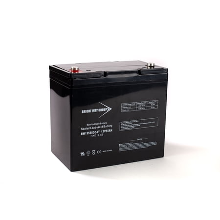 Bright Way Group BW EV-22 DC Battery (Replacement)