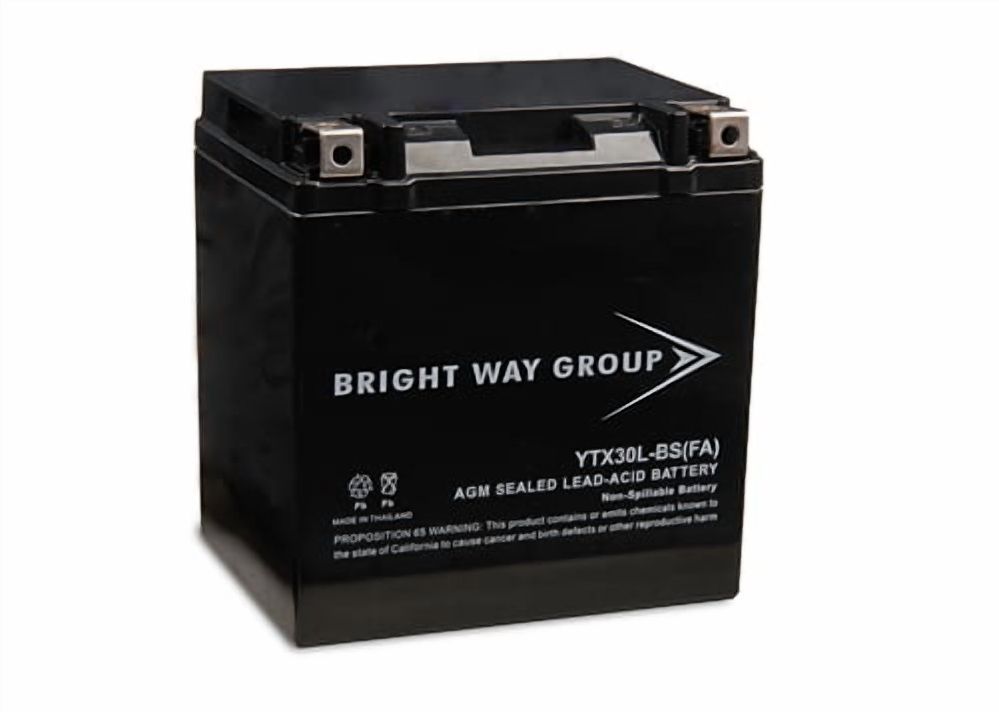Bright Way Group YTX30L-BS(FA) Battery - Walmart.com
