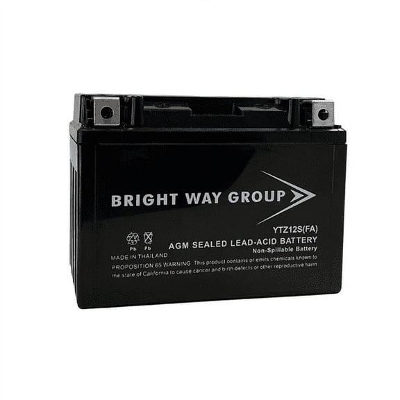 Bright Way Group YTZ12S (FA) Battery