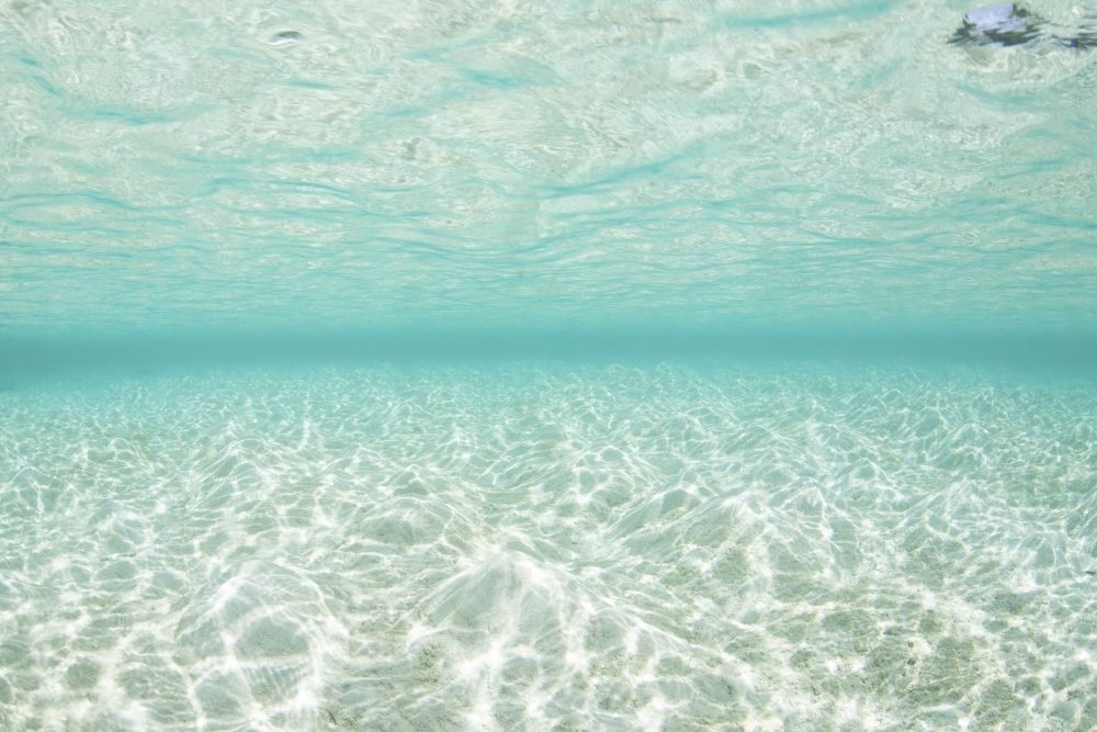 Bright sunlight dances across a shallow sand seafloor in Palau Canvas Art - Ethan DanielsStocktrek Images (17 x 12)