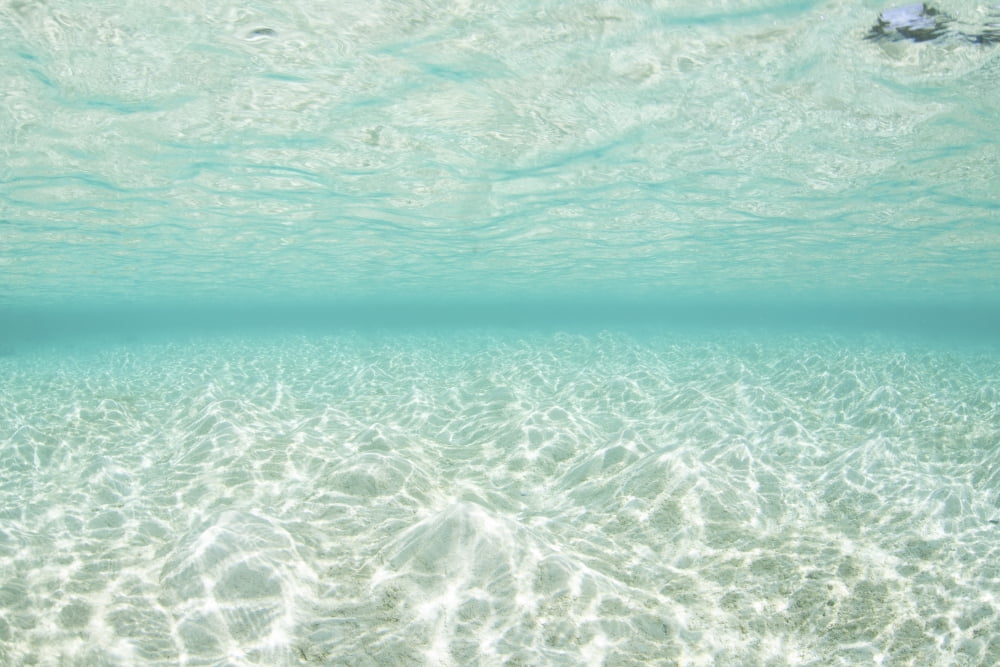 Bright sunlight dances across a shallow sand seafloor in Palau Canvas Art - Ethan DanielsStocktrek Images (34 x 23)