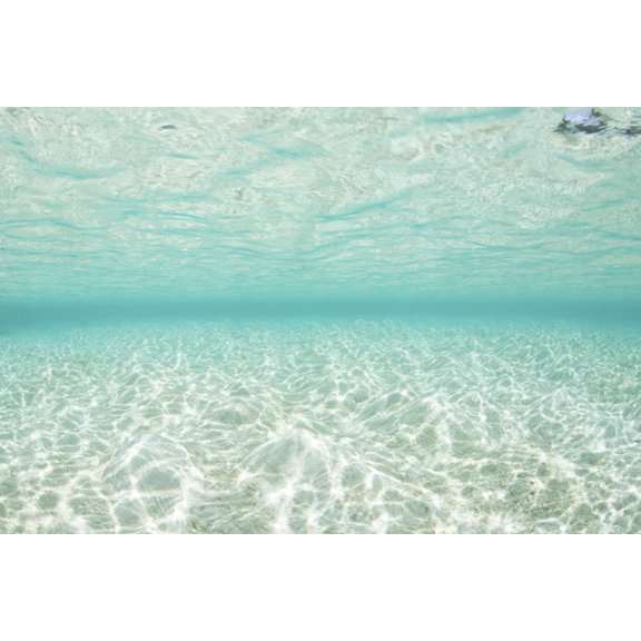 Bright sunlight dances across a shallow sand seafloor in Palau Canvas Art - Ethan DanielsStocktrek Images (34 x 23)