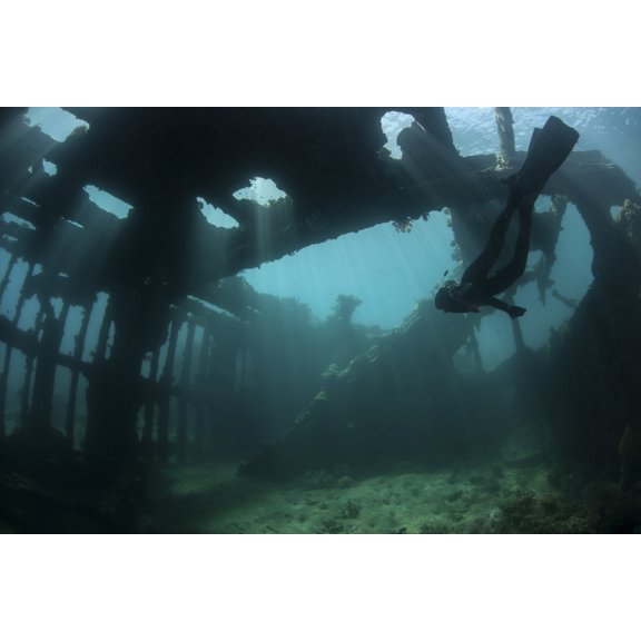 Bright sunlight pierces a shallow World War II shipwreck Canvas Art - Ethan DanielsStocktrek Images (17 x 12)
