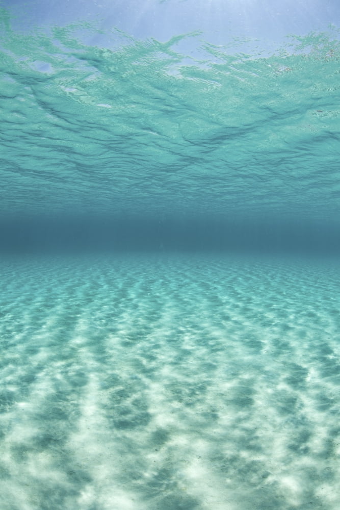 Bright sunlight ripples across a seafloor in the tropical Pacific Ocean Canvas Art - Ethan DanielsStocktrek Images (23 x 34)