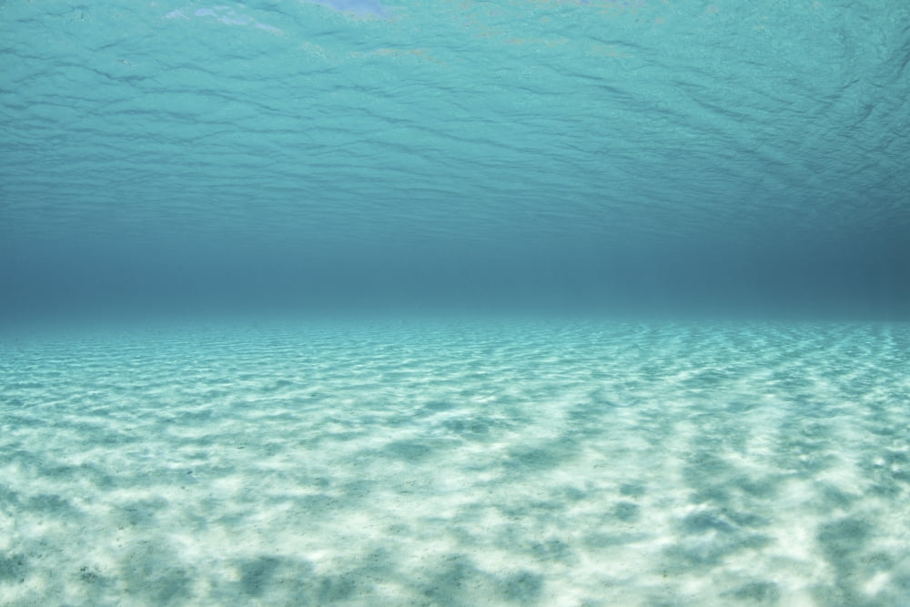 Bright sunlight ripples across a seafloor in the tropical Pacific Ocean Canvas Art - Ethan DanielsStocktrek Images (34 x 23)