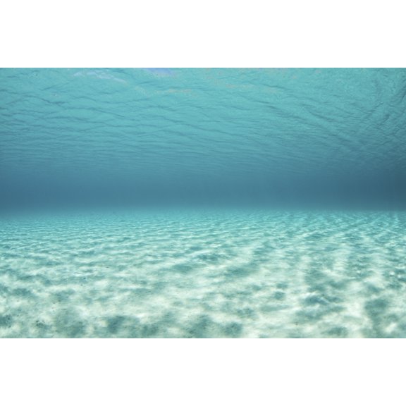 Bright sunlight ripples across a seafloor in the tropical Pacific Ocean Canvas Art - Ethan DanielsStocktrek Images (34 x 23)