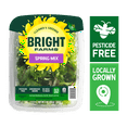 BrightFarms Spring Mix Salad Blend, 4 oz Clam Shell, Fresh