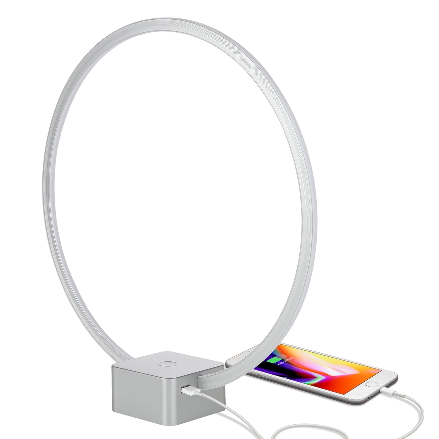 Platinum Silver Modern LED Desk Lamp with USB Port