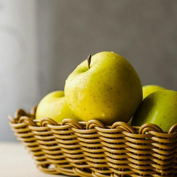 Brighter Blooms - Honeygold Apple Tree, 5-6 ft. - No Shipping To AK, AZ, CA, HI, ID, OR, WA