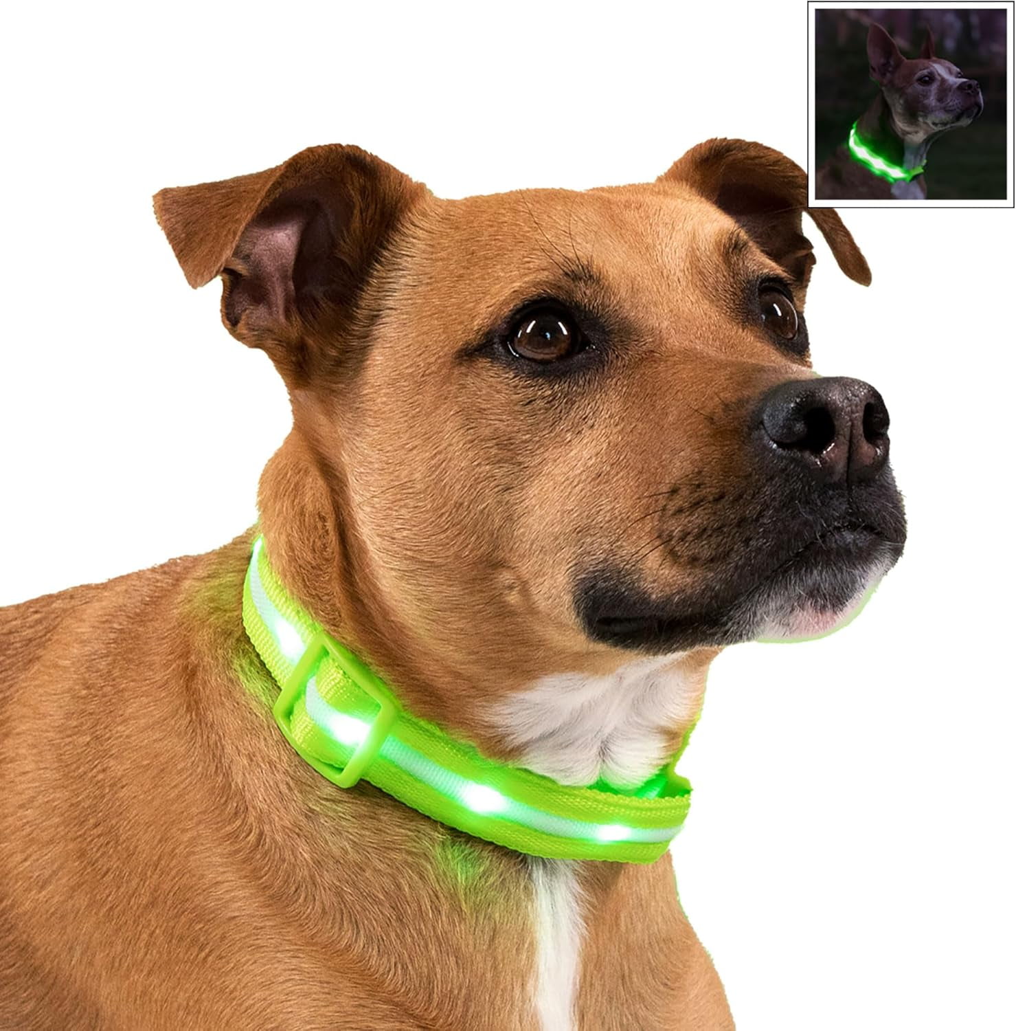 Brightest Light Up Dog Collars The Original Led Dog Collar With 1 000 Feet Of Visibility Usb Rechargeable Waterproof Dog Collar Light Dog Lights For Night Walking Usa Brand Walmart