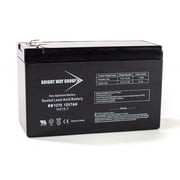 Brightway Replacement Battery for BW 1270 F2 Bright Way Group Replacement SLA Battery 12V 7AH F2