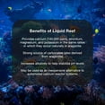 Brightwell Aquatics Liquid Reef Concentrated Reef Builder for