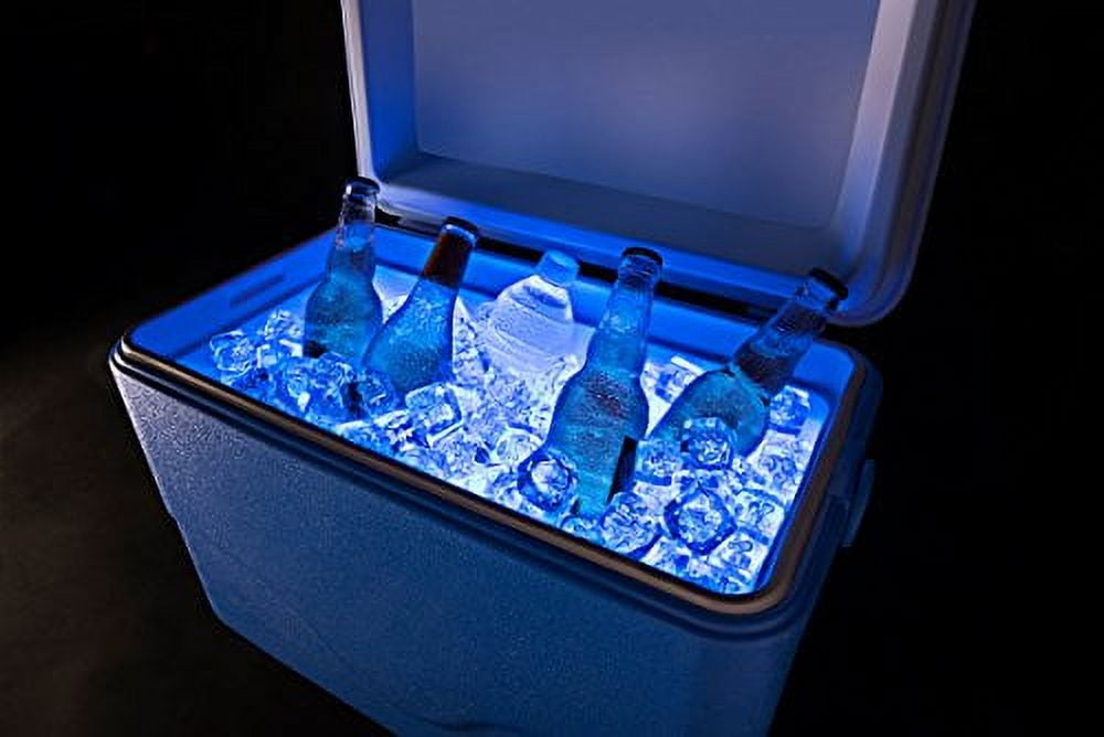 Coolers with sale lights in them