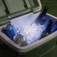 Brightz LED Cooler Light - Pack of 12
