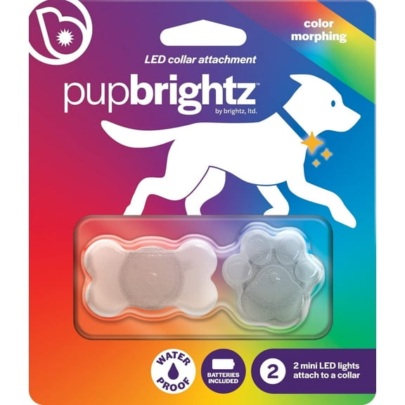 Brightz PupBrightz Light-Up Paw Print, Bone Pet Collar Charm, Color Changing, 2 Piece Set (2 Pack)
