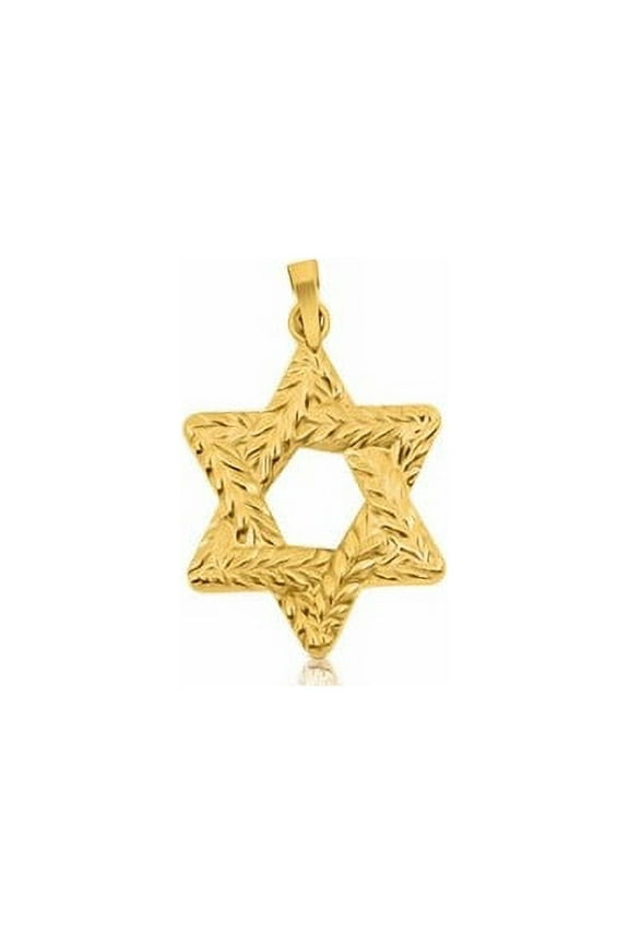 14 KT Yellow Gold Braided Jewish Star Of David Pendant