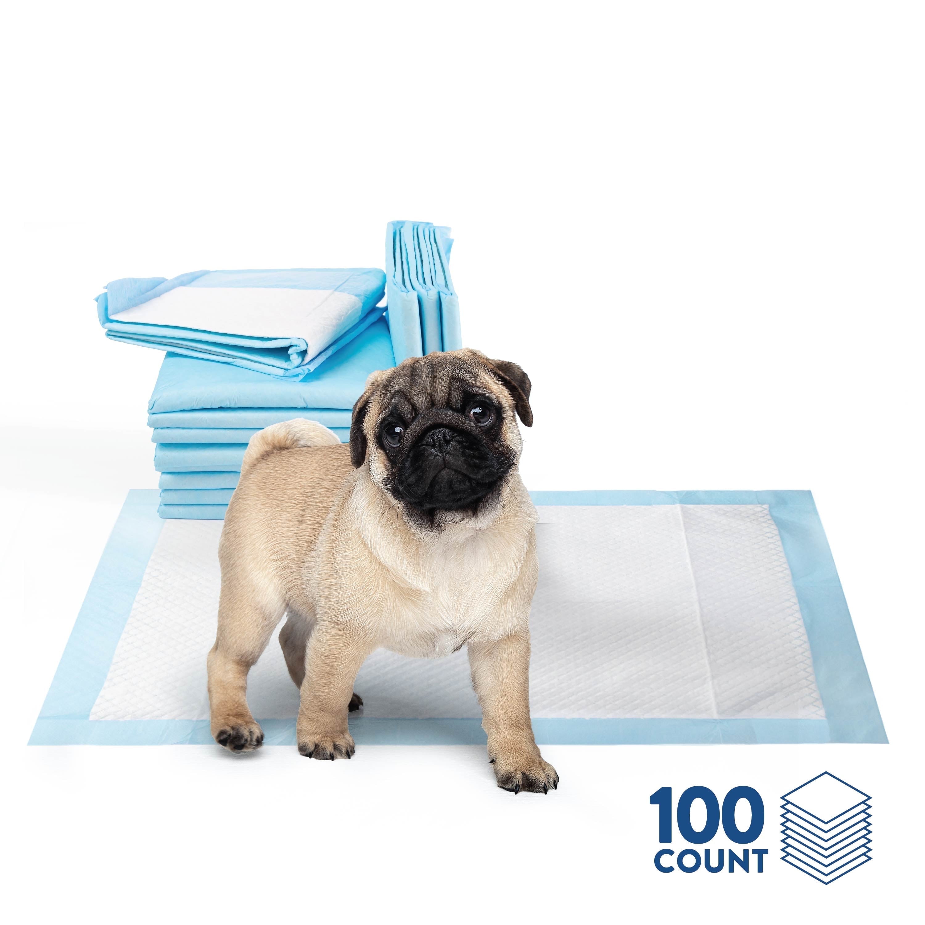 Brilliance Puppy Training Pads, 6-Ply Mess-Free Disposable Dog Pee Pads, Small 13” x 18” 100-Pack