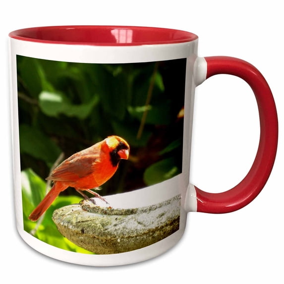 3drose, Brilliant Cardinal on Bird Bath, 11oz Two-tone Red Mug