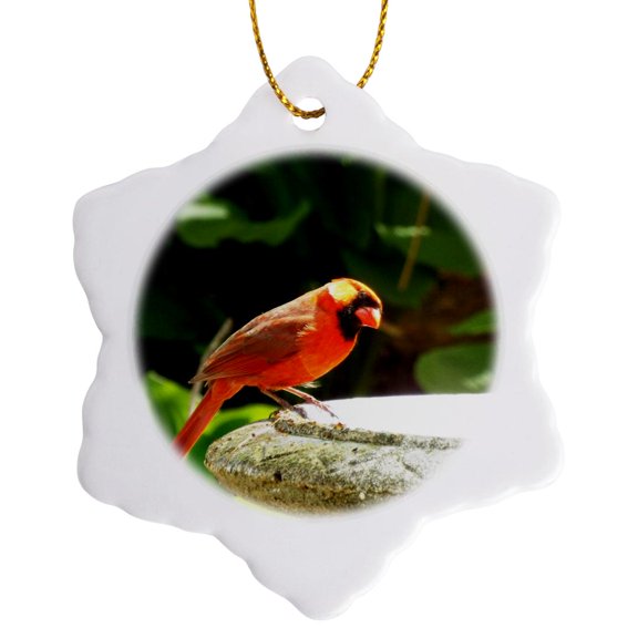 3drose, Brilliant Cardinal on Bird Bath, 3 inch Snowflake Porcelain Ornament