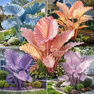 hanging plant holders metal Irwin Hook Stand 5.5"x 14.75"