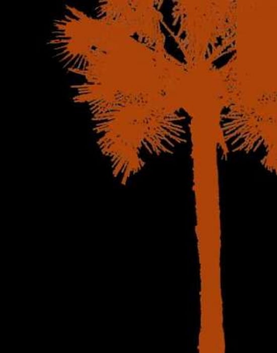 Brilliant Palm Detail II Canvas Art - Steve Butler (22 x 28)