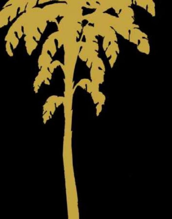 Brilliant Palm Detail III Canvas Art - Steve Butler (22 x 28)