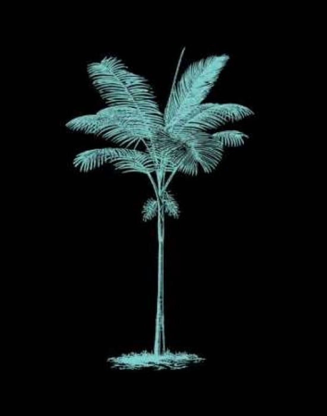 Brilliant Palm I Canvas Art - Steve Butler (22 x 28)