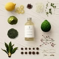 thumbnail image 1 of Brilliant Scents - Daydream | Inspired by Relâche Spa at Gaylord Hotels | Luxury Home & Business Scent | Agave Nectar, Black Tea, Matcha Extract - Fragrance Oil - 120ml, 1 of 2