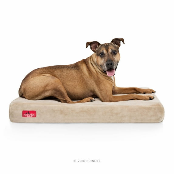 Brindle 4" Memory Foam Dog Bed, Large, Khaki