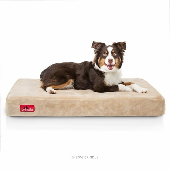 Brindle 4" Memory Foam Pet Bed, Medium, Khaki