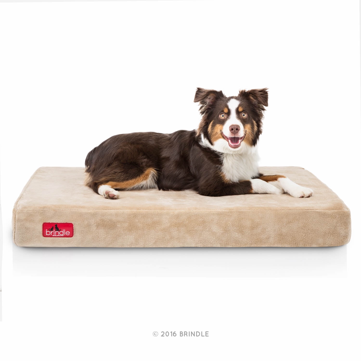 Brindle orthopedic dog bed sales