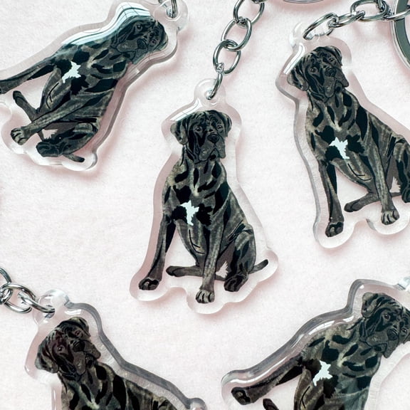 Brindle Cane Corso Keychain, Italian Mastiff Keychain, Original Artwork Keychain (1 keychain)