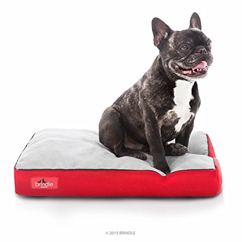 Brindle Soft Memory Foam Dog Bed with Removable Washable Cover