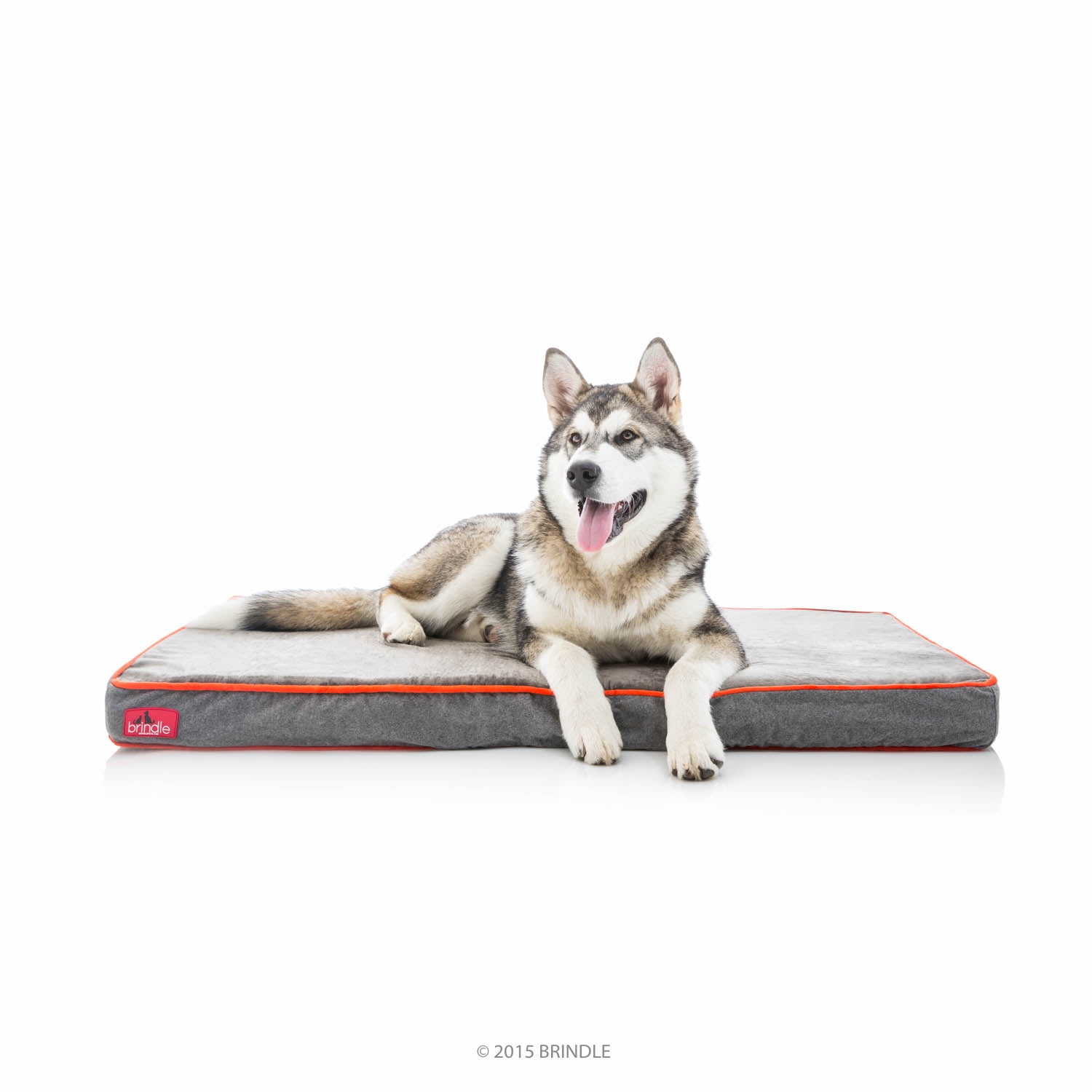 Brindle Waterproof Designer Memory Foam Pet BedRemovable Machine