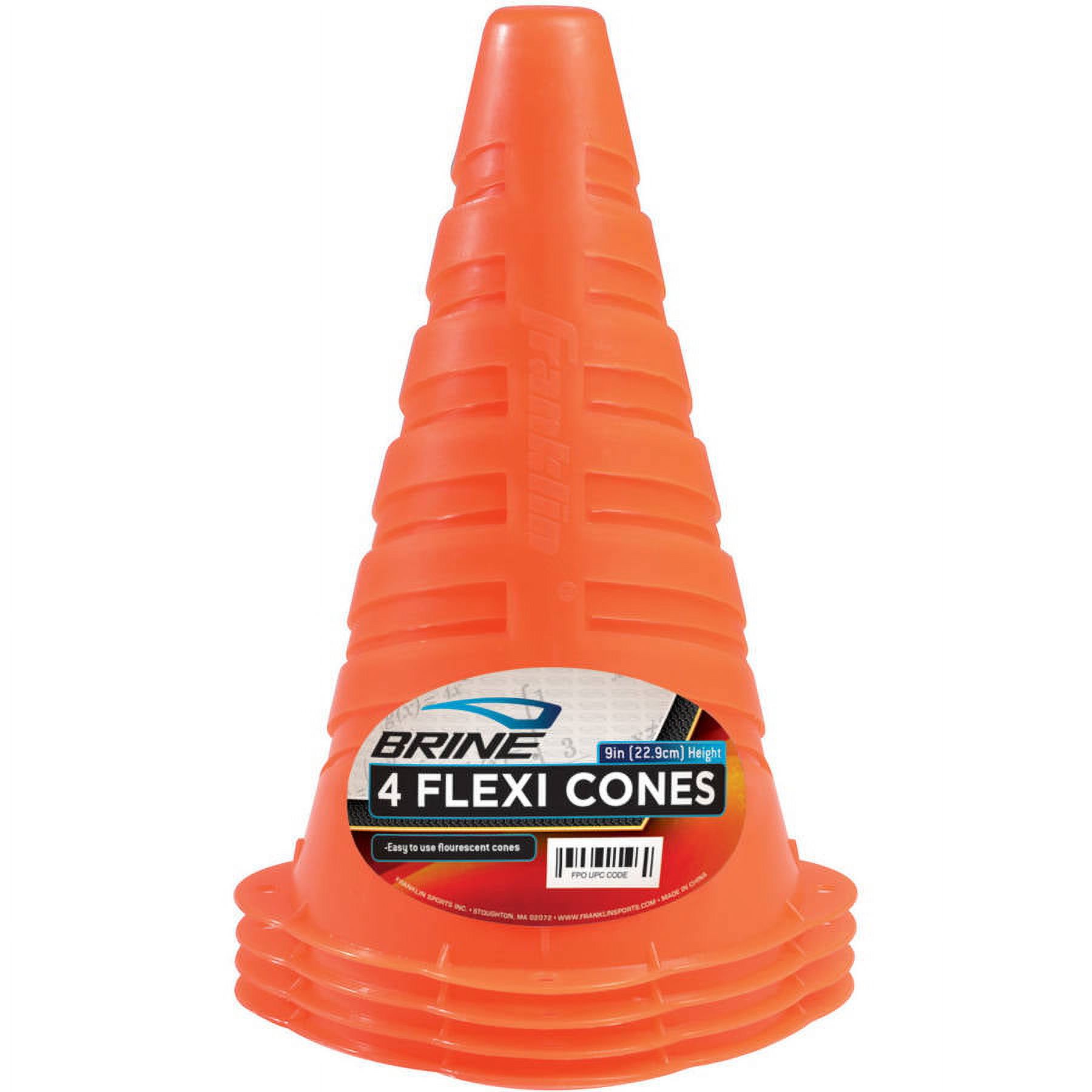 Brine  Field Cones - image 1 of 6