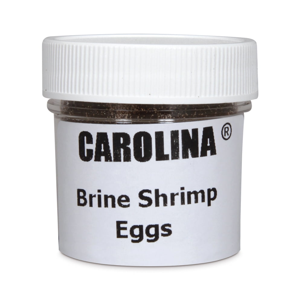 GSL ARTEMIA (BRINE SHRIMP EGGS) – Reed Mariculture