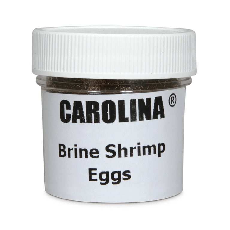 Brine Shrimp Artemia Eggs 1 Oz
