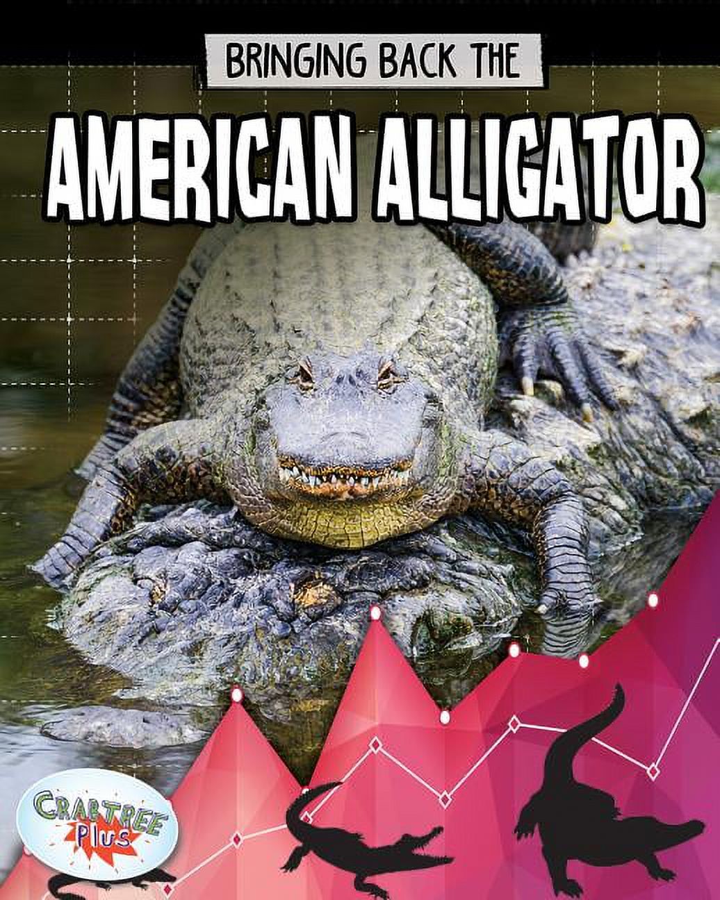 Bringing Back the American Alligator - Walmart.com