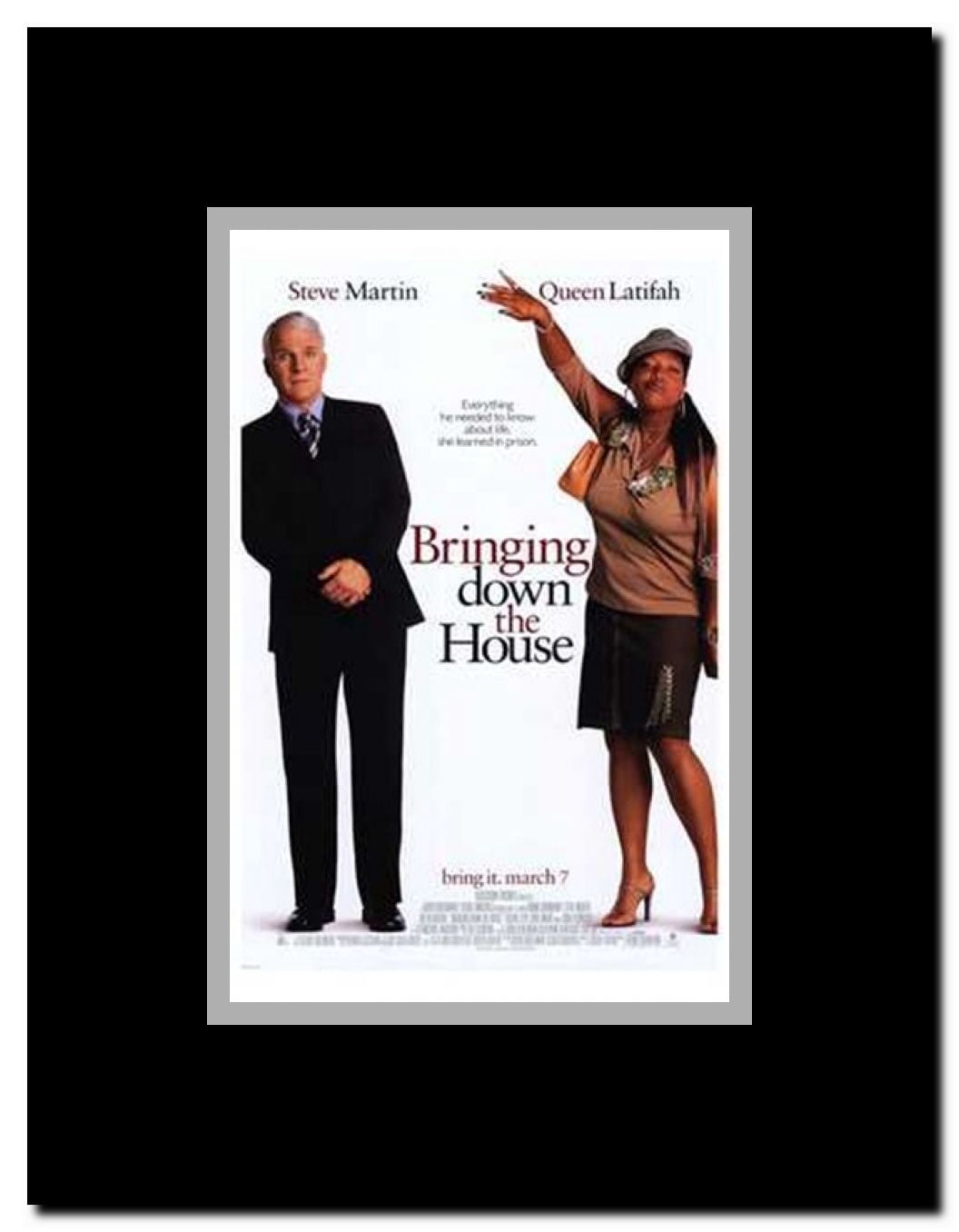 Bringing Down the House Framed Movie Poster