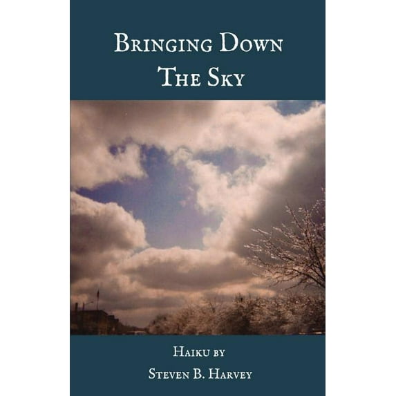 Bringing Down the Sky (Paperback)