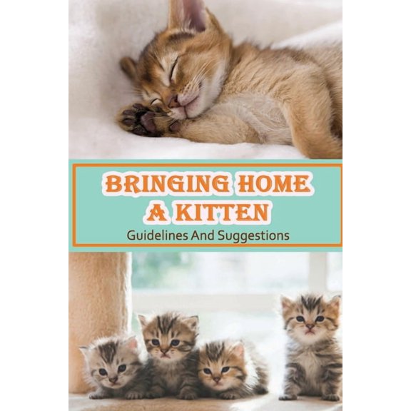 Bringing Home A Kitten: Guidelines And Suggestions: Are Kittens Easy To Train? (Paperback)