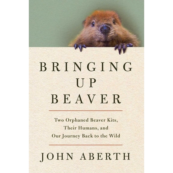 Bringing Up Beaver: Two Orphaned Beaver Kits, Their Humans, and Our Journey Back to the Wild, (Hardcover)