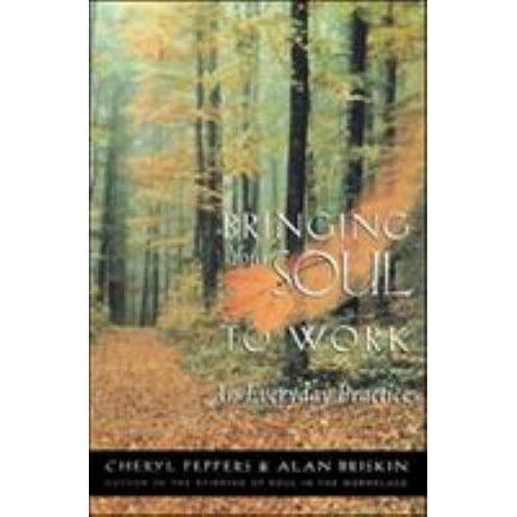 Pre-Owned Bringing Your Soul to Work: An Everyday Practice (Paperback) 1576751112 9781576751114