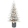 thumbnail image 1 of Bringstar 3FT Pre-lit Potted Flocked Christmas Tree, Snow Frosted Mini Tabletop Artificial Christmas Tree with 50 LED Lights and 365 PE & PVC Branch Tips for Front Door, Porch, Indoor and Outdoor, 1 of 6